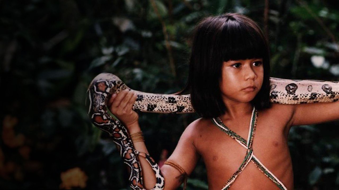 Taina: Uma Aventura na Amazonia