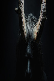 Mirtillo: Numerus IX