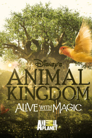 Alive with Magic