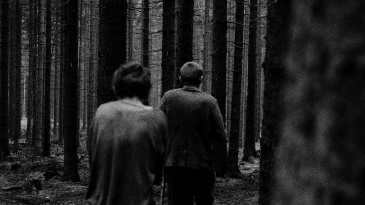 Diamonds of the Night