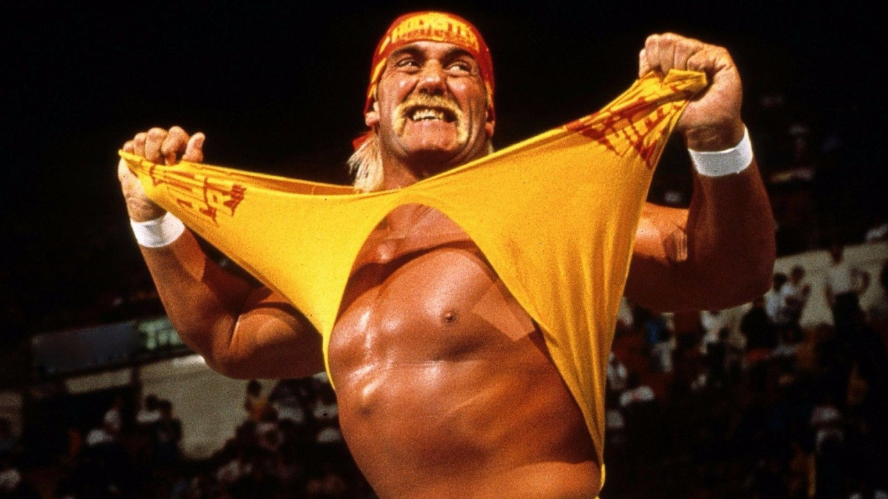 Hulk Hogan: the Ultimate Anthology