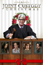 A Joint Custody Christmas