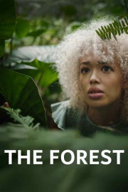 The Forest