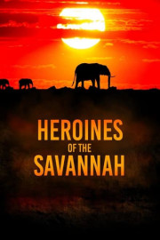 Heroines of the Savannah