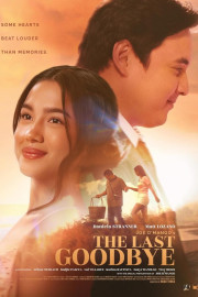 The Last Goodbye