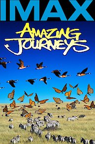 Amazing Journeys