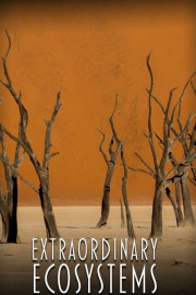 Extraordinary Ecosystems