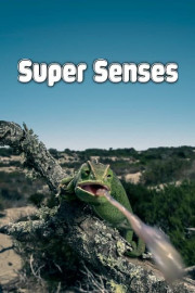 Super Senses