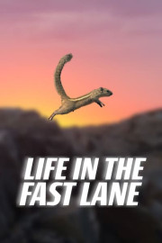 Nature's Oddballs: Life in the Fast Lane