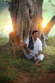 Idly Kadai