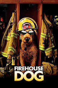 Firehouse Dog