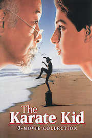 Original Karate Kid Collection