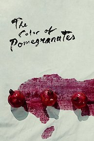 The Color of Pomegranates