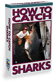 How to Catch Sharks