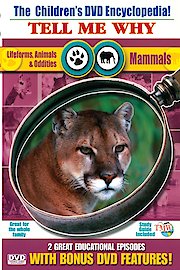 Lifeforms, Animals & Oddities & Mammals