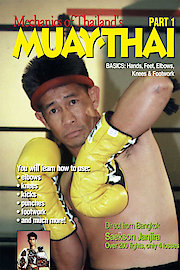Muay Thai Mechanics of Basics, Hands, Shifting and Elbows PART #1