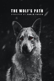 The wolf s path