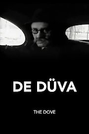 The Dove