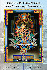 Meeting of the Masters Volume 2: Sex, Energy and Ecstatic Love