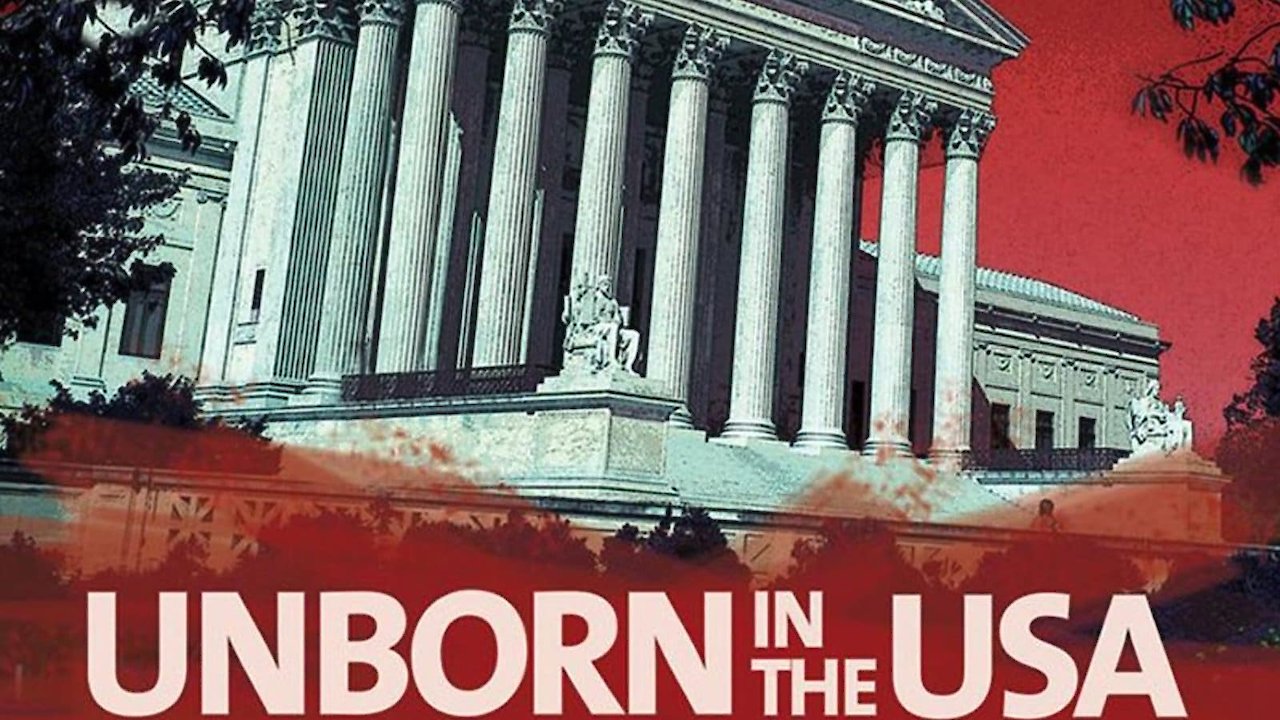 Unborn in the USA