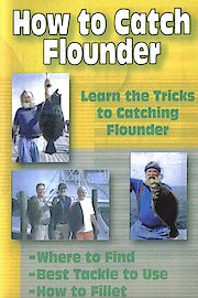 How to Catch Flounder