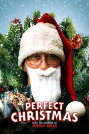 Perfect Christmas