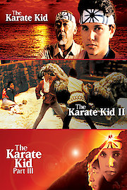Karate Kid Trilogy
