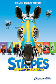 Stripes - Ein Zebra im Rennstall