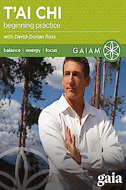 Energy Chi for Beginners [OV]