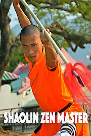 Shaolin Zen Master [OV]