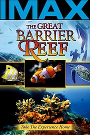 The Great Barrier Reef