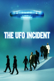 The UFO Incident