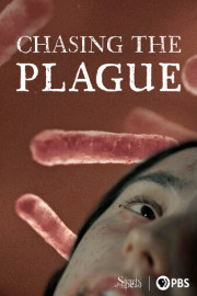 Chasing the Plague