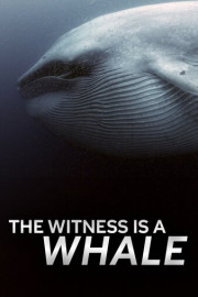 The Witness Is a Whale
