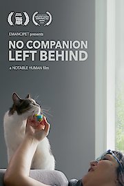No Companion Left Behind
