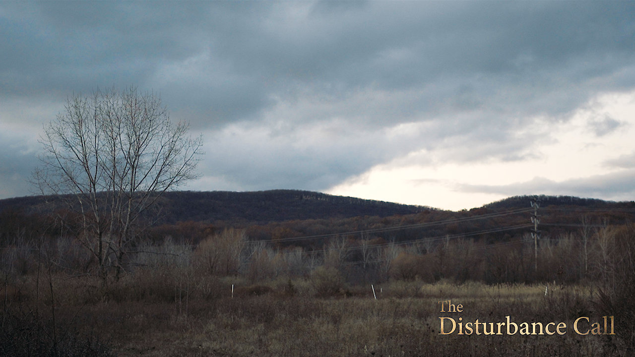 The Disturbance Call