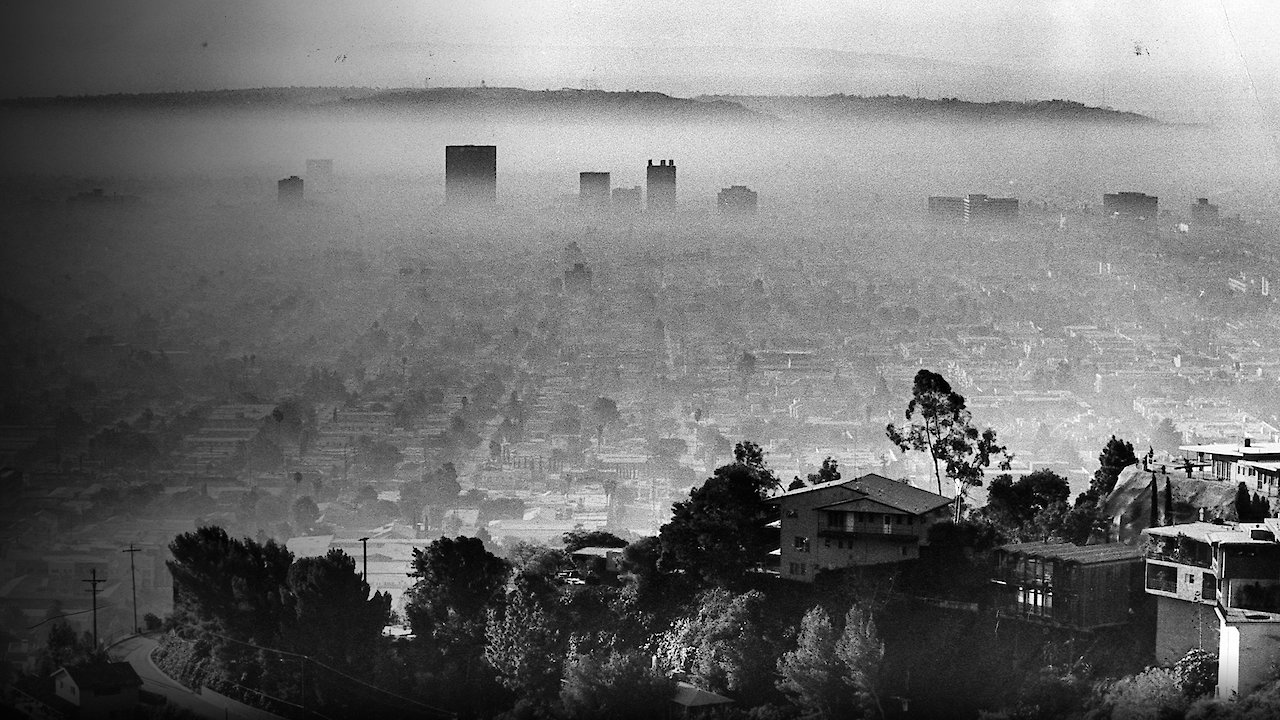 Clearing the Air: The War on Smog