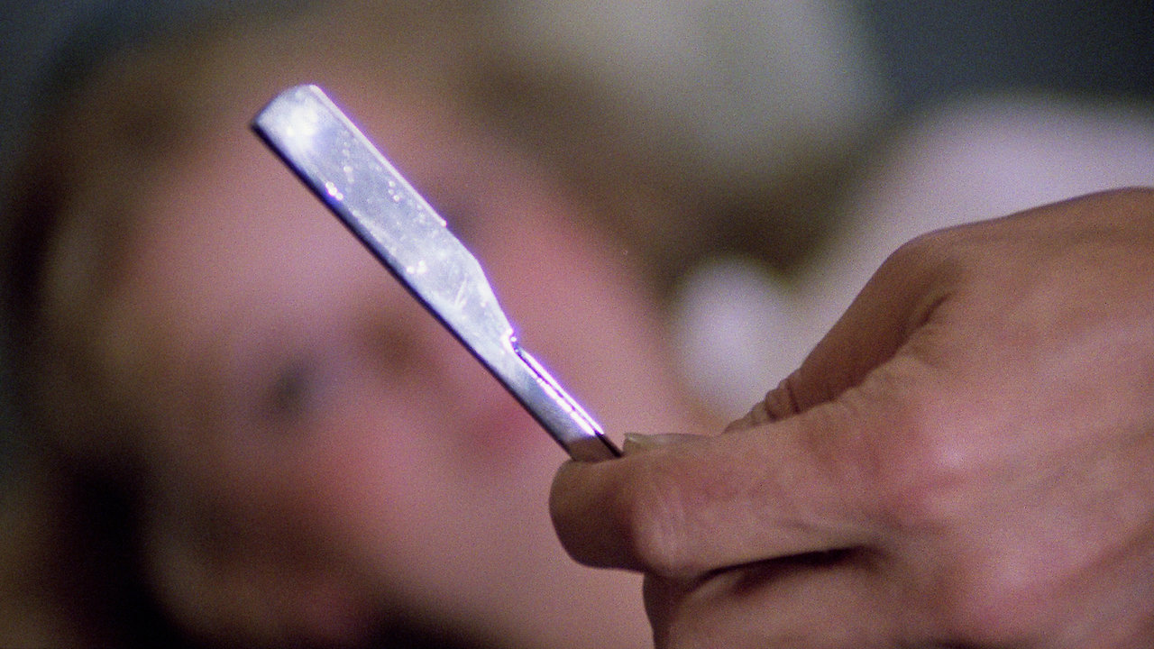 House On The Edge Of The Park