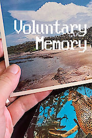 Voluntary Memory