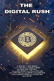 Bitcoin - The digital rush