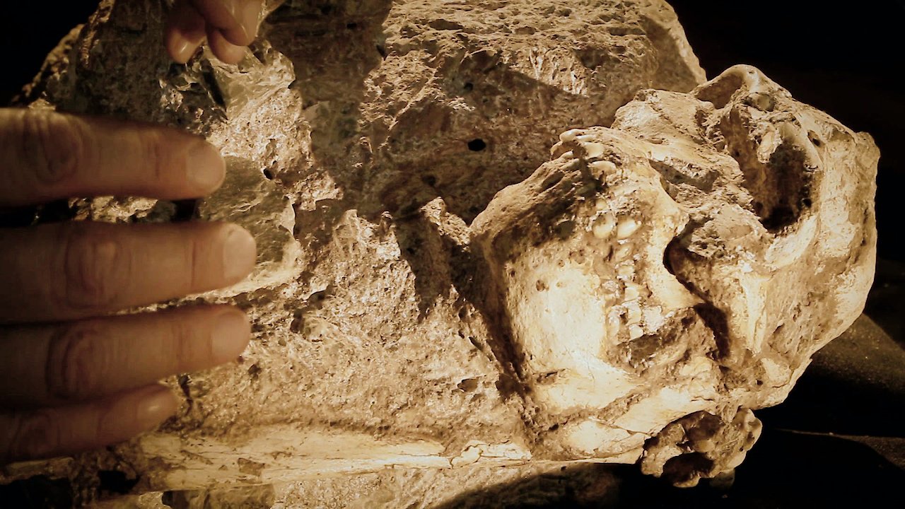 The Story of Little Foot