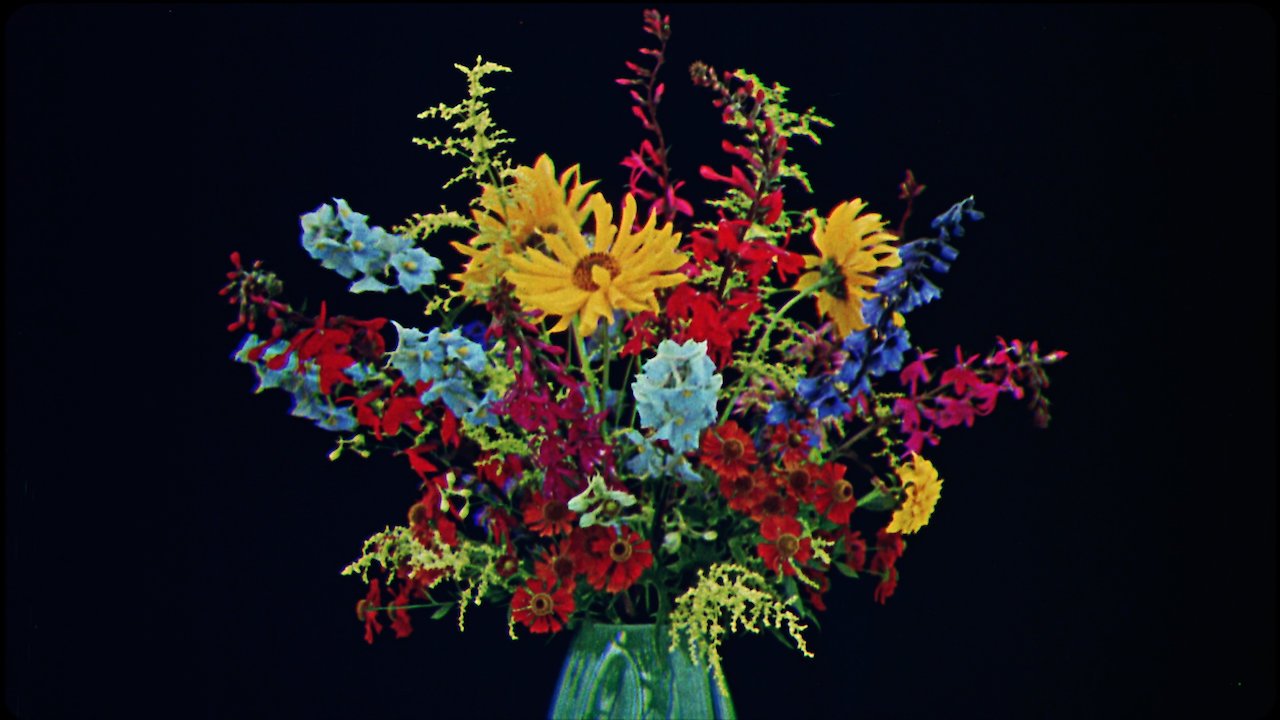 Cinema's First Colors