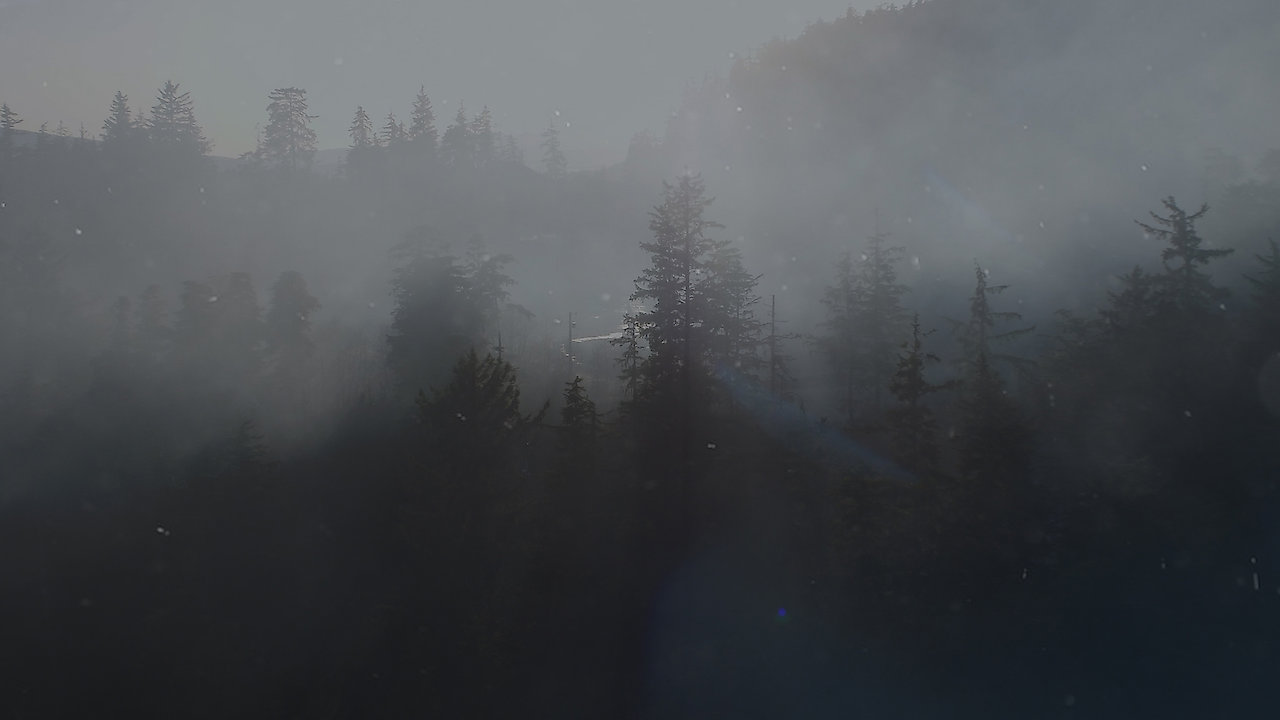 One Health, One Future