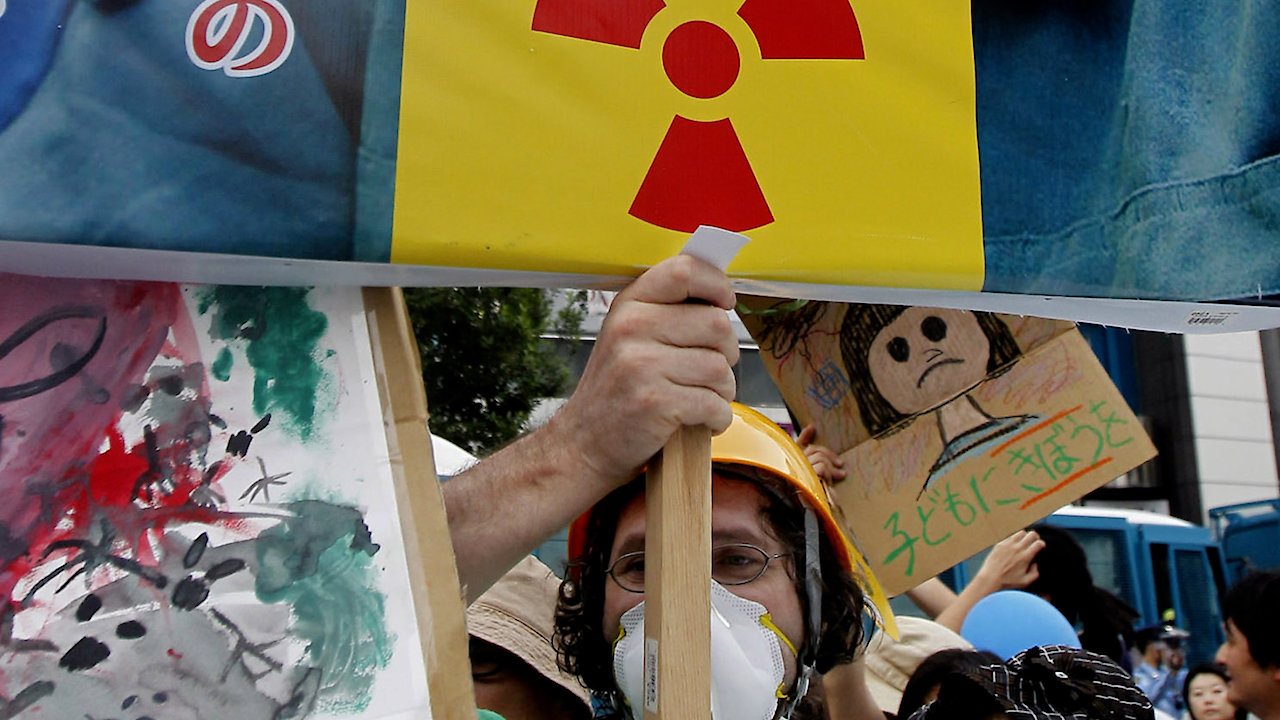 The Fukushima Disaster