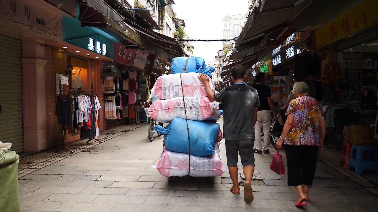 One Earth: Everything is Connected