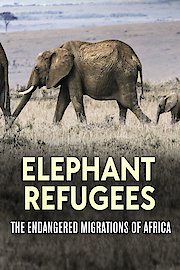 Elephant Refugees