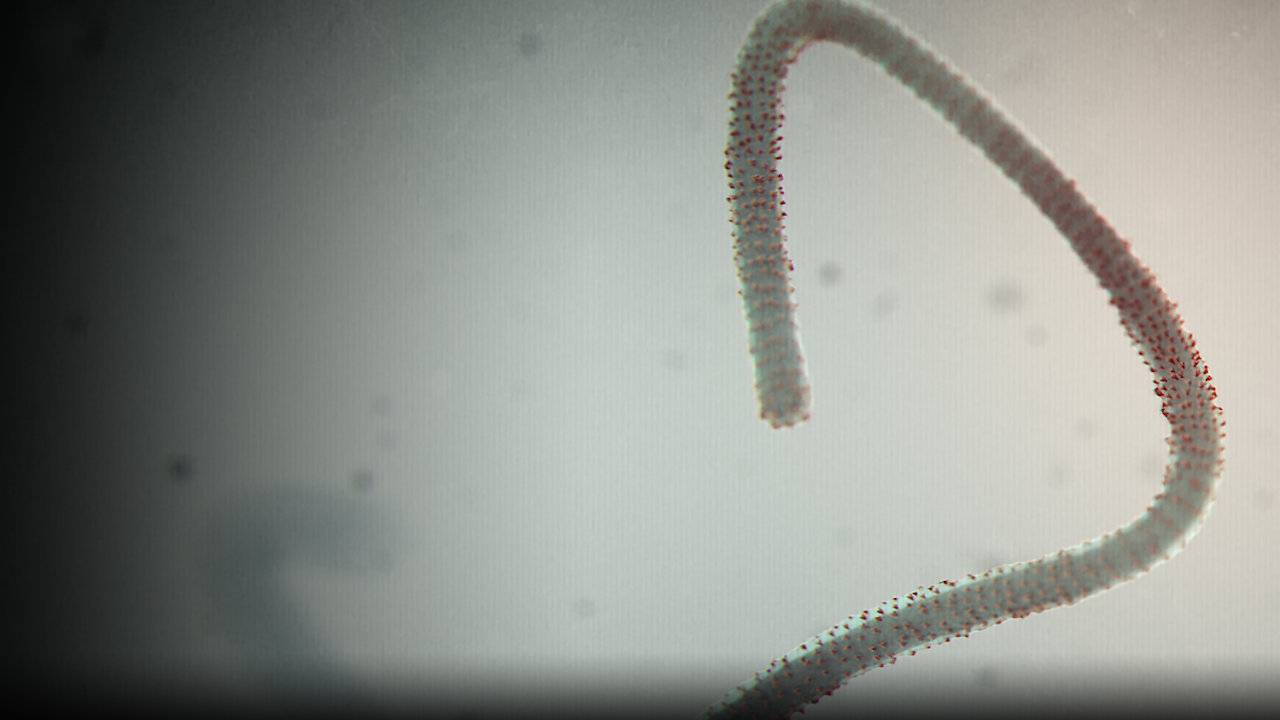 Spillover: Zika, Ebola & Beyond