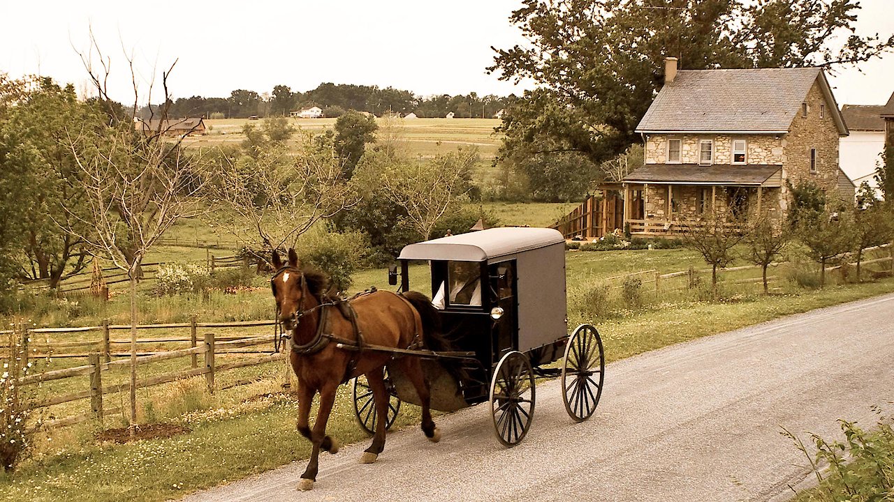 The Amish Dilemma