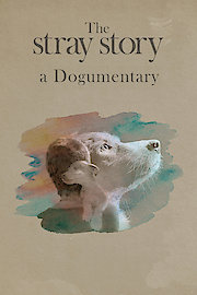The Stray Story: A Dogumentary