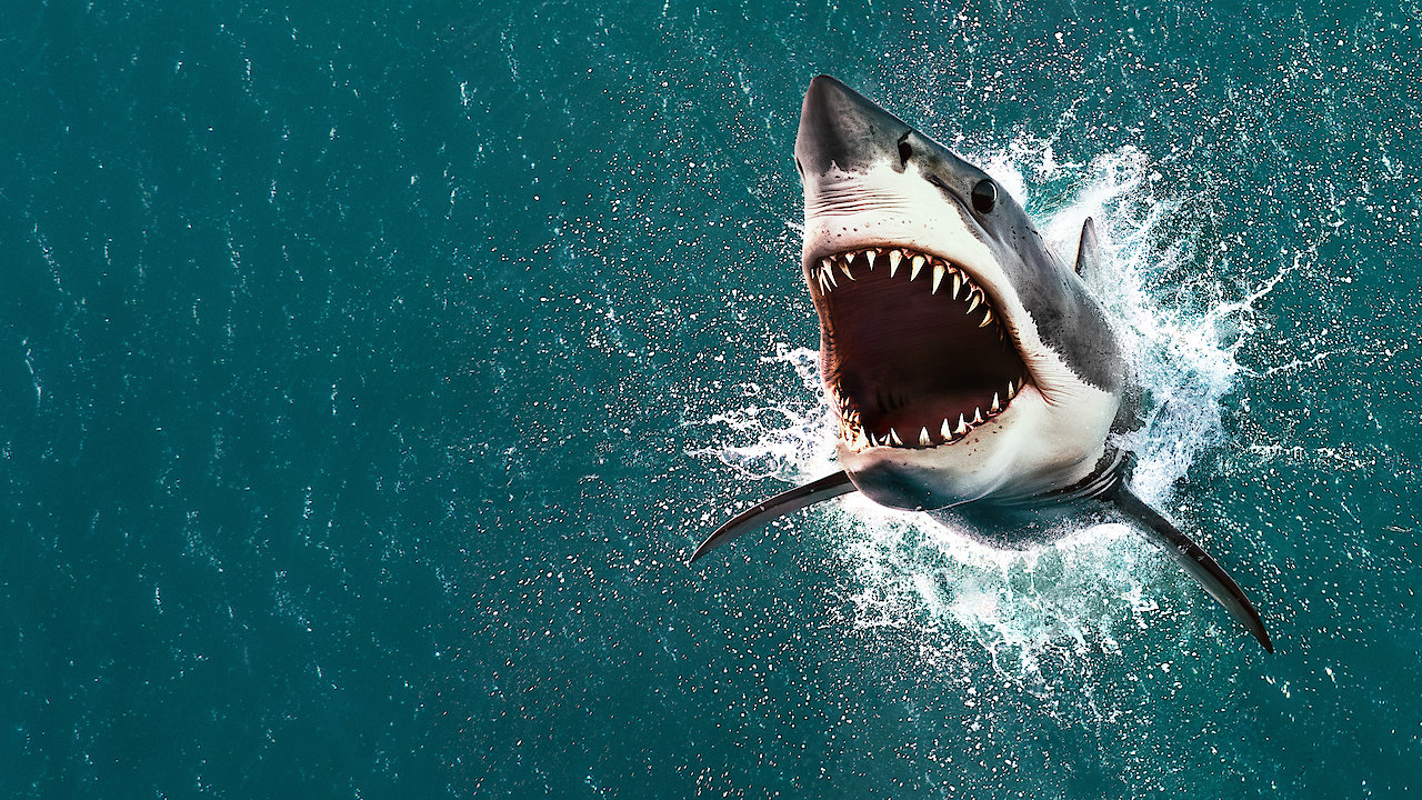 Air Jaws: The Hunt for Colossus